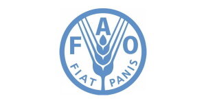 联合国粮农组织
