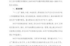 上海市知识产权保护和运用“十四五”规划