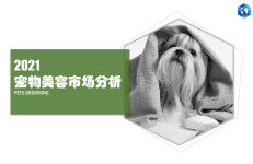 研精毕智信息咨询：2021中国宠物美容市场分析研究报告