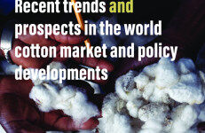 联合国粮农组织：世界棉花市场近期趋势和前景【英文版】