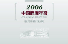 中国（深圳）综合开发研究院：2006年年报