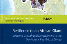 世界银行（WORLD BANK）：发展方向报告-非洲巨人的韧性： 促进民主共和国的增长和发展刚果的【英文版】