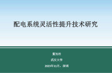武汉大学（董旭柱）：配电系统灵活性提升技术研究报告