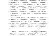 新世纪评级：宁夏自治区及下辖各市经济财政实力与债务研究（2023）