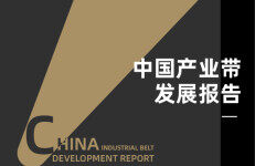 沥金&腾讯&轻工：2023中国产业带发展报告
