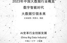 头豹研究院：2023年中国大数据行业概览：数字智能时代大数据引领未来