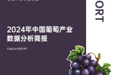 云果：2024年中国葡萄产业数据分析简报