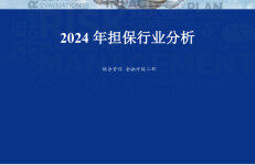 联合资信：2024年融资担保行业分析报告