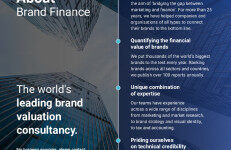BrandFinance：2024年保险业100强报告（英文版）