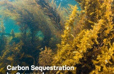美国环保协会：2022海藻固碳研究报告（英文版）