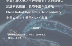 头豹研究院：2023年中国机器人灵巧手行业概览：人形机器人加速研究进展，灵巧手迎千亿市场