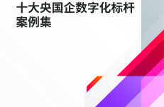 中国软件行业协会：2024十大央国企数字化标杆案例集