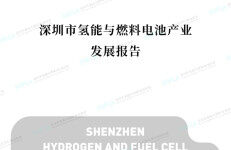 深圳市氢能与燃料电池协会：2023深圳市氢能与燃料电池产业发展报告