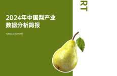 云果：2024年中国梨产业数据分析简报