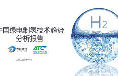 大东时代：2024中国绿电制氢技术趋势分析报告