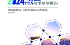 中国可再生能源学会：2024年中国光伏技术发展报告-简版