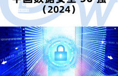 数世咨询：中国数据安全50强报告（2024）