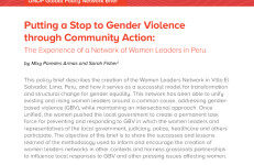 联合国开发计划署（UNDP）：2024通过社区行动制止性别暴力：秘鲁妇女领导人网络的经验报告（英文版）