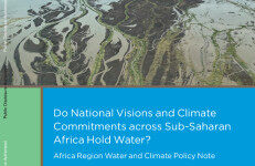 世界银行：2024撒哈拉以南非洲的国家愿景和气候承诺是否成立？非洲区域水和气候政策说明报告（英文版）