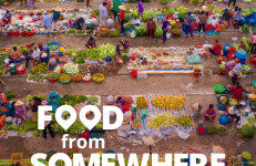 iPES FOOD：2024来自某处的食物报告（英文版）