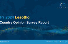 世界银行：2024财年莱索托国家意见调查报告（英文版）
