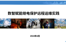 南方电网（余江）：2024数智赋能继电保护远程运维实践报告