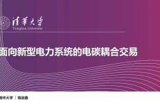 清华大学（陈启鑫）：面向新型电力系统的电碳耦合交易报告